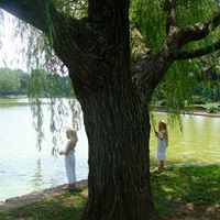 Autumn Short Photo 8