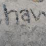 Shawn Tran Photo 29
