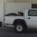 Bruce Bak Photo 8