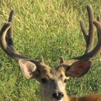 Duane Cook Photo 7