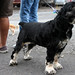 Charlie Stevenson Photo 33