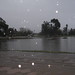 Ramona Rains Photo 9