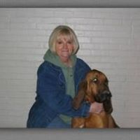 Sandy Landers Photo 32