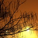 Howard Peterson Photo 10