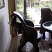 Dexter Davidson Photo 4