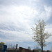 Bradford Perry Photo 22