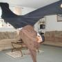 Ron Burrell Photo 11