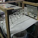 Christopher Mcelroy Photo 33