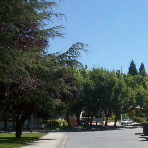 Michelle Carrillo Photo 33