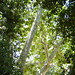 Debbie Casper Photo 30