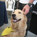 James Worthy Photo 22