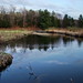 April Ripple Photo 11