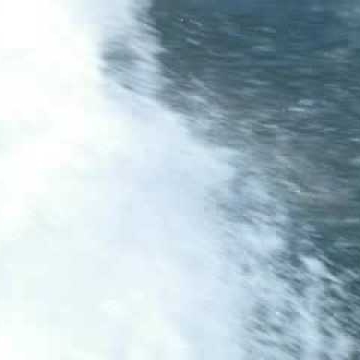 Michael Rawlins Photo 25