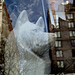 Jason Whitewolf Photo 2