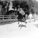 John Casper Photo 21