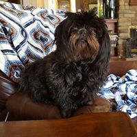 Carole Robbins Photo 34