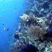 Thomas Wall Photo 11