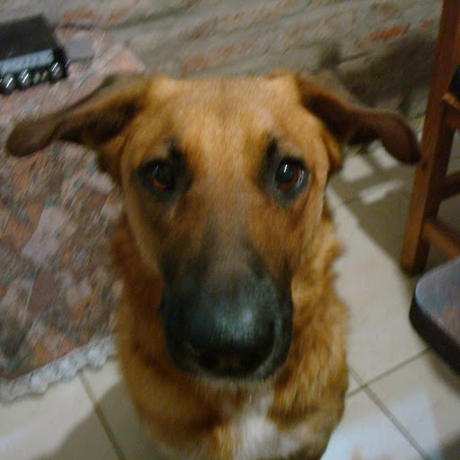 Constanza Rodriguez Photo 12