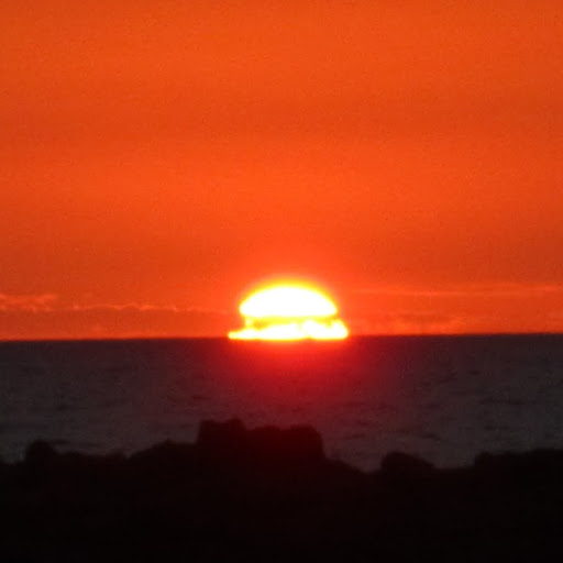 David Connors Photo 7