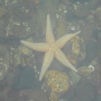Amy Worden Photo 4