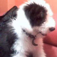 Rocky Robles Photo 8