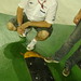 David Croft Photo 37