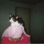 Linda Reese Photo 29