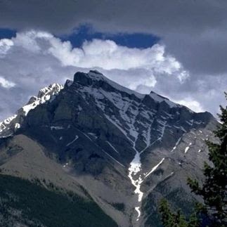 Peter Schneider Photo 44