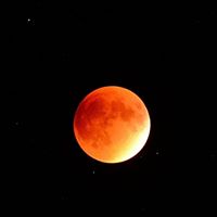 Jim Stubbs Photo 17