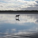 Ann Concannon Photo 14