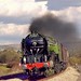 David Wales Photo 23