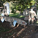Fred Phillips Photo 36