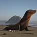 Michael Strand Photo 35