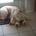 Bob Roberson Photo 11