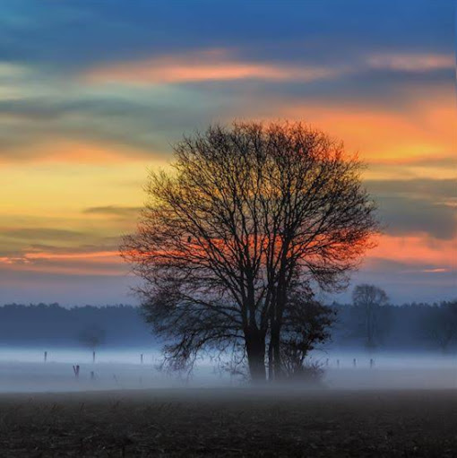 Paul Michiels Photo 4