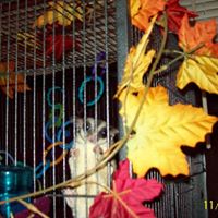 Debbie Turnage Photo 16