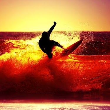 Harry Nolan Photo 7