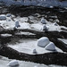 Sandra Morrison Photo 11