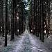 Jan Wald Photo 8