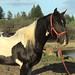 Austin Walker Photo 13
