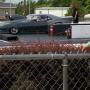 Bill Cain Photo 14