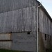 Neil Woods Photo 11