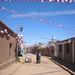 Patricia Leach Photo 35