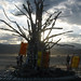 David Biggs Photo 34