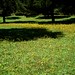 Christian Andersen Photo 43