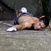 Larry Lin Photo 24