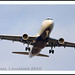 Wayne Wicks Photo 8