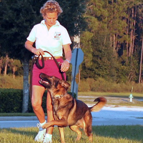Ellen Wilcox Photo 17