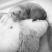 Tabitha Long Photo 30