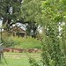 Julia Carter Photo 14